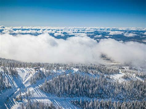 【LIVE】 Webcam Arizona Snowbowl